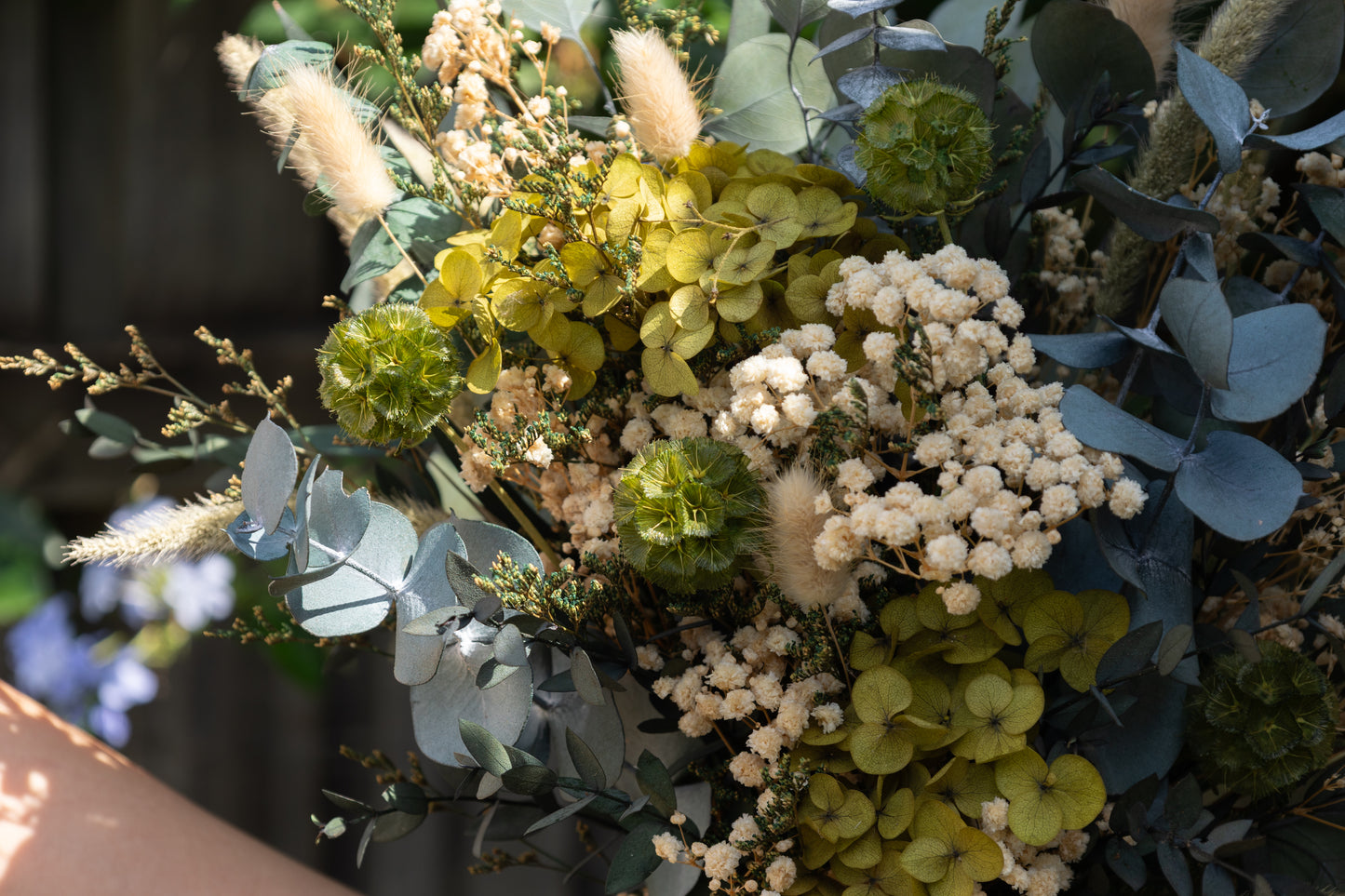 Olive Bloom