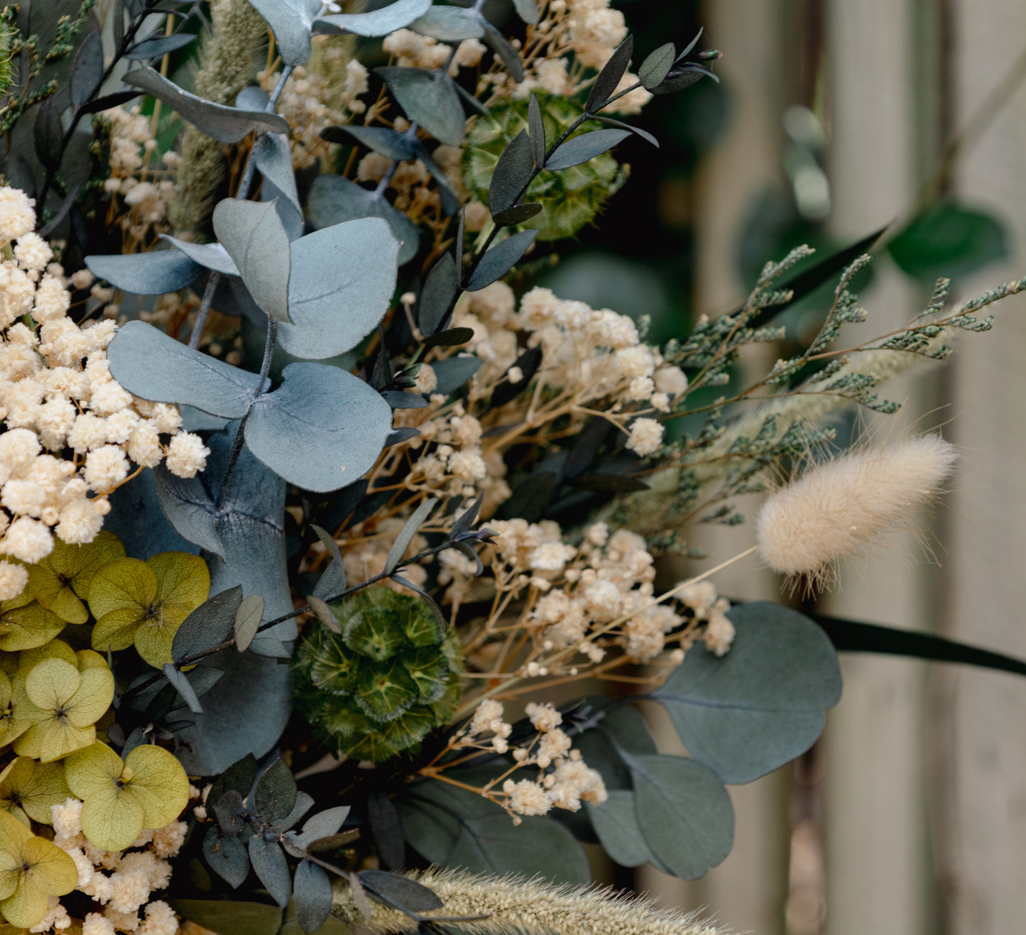 Olive Bloom