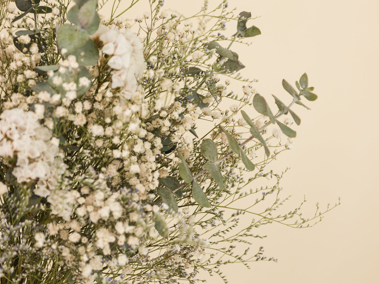 Soft Eucalyptus & baby's breath