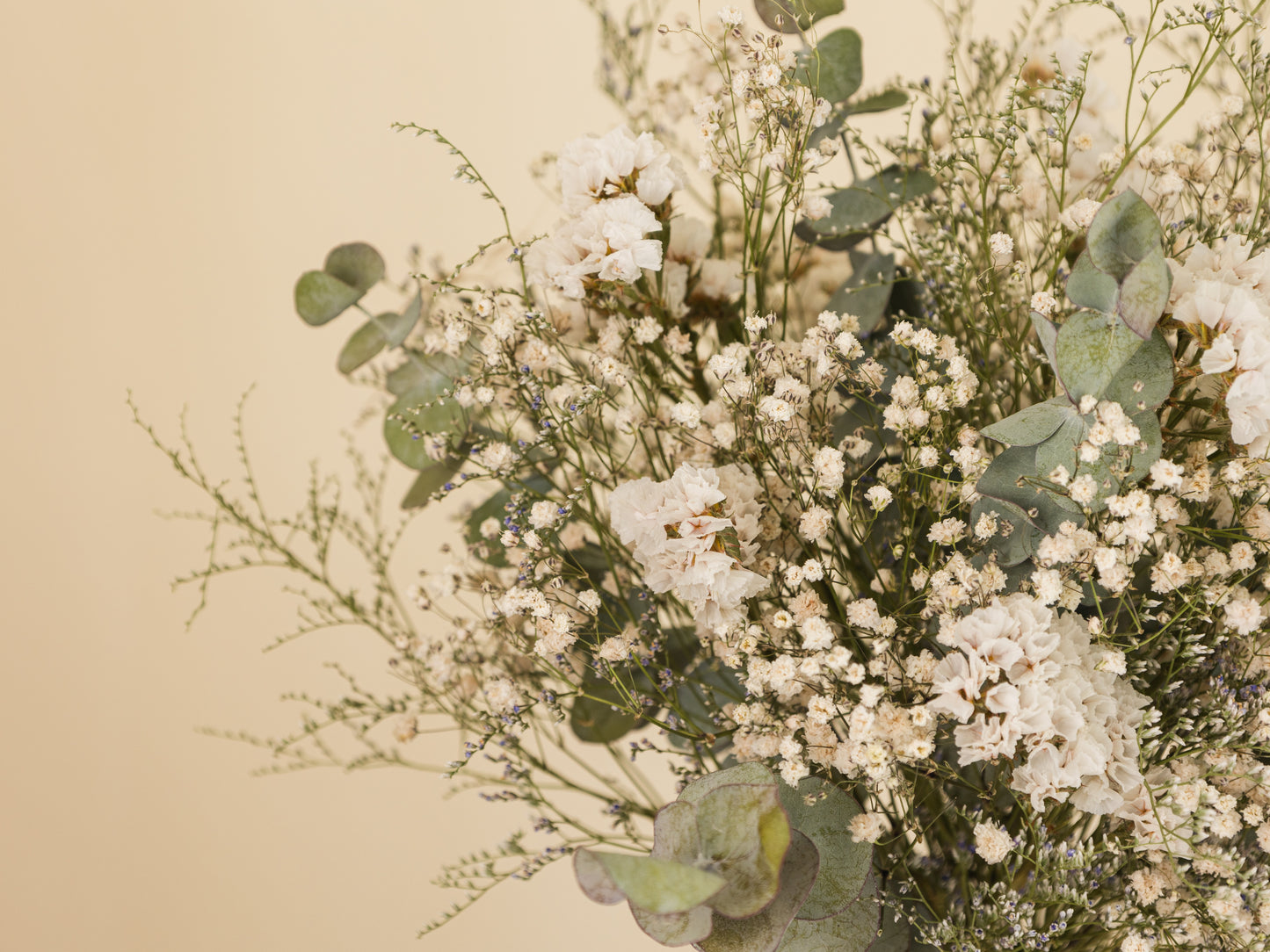 Soft Eucalyptus & baby's breath