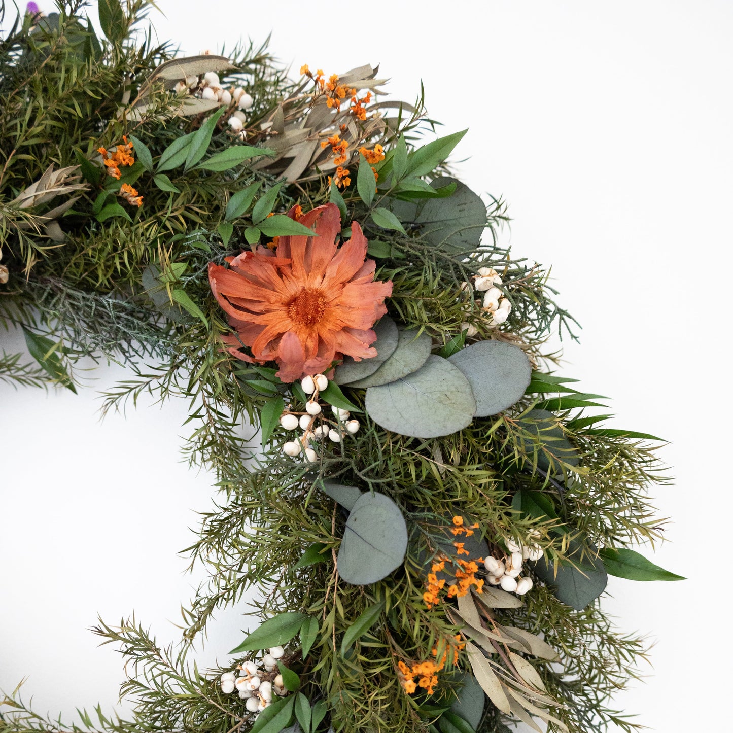Australian Native Christmas Wreath – Eucalyptus & Protea