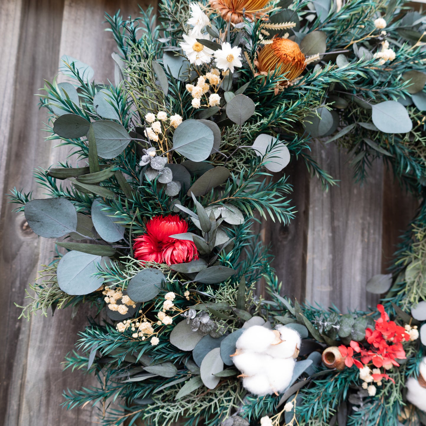 Australian Dried Christmas Wreath – Eucalyptus, Banksia & Cotton