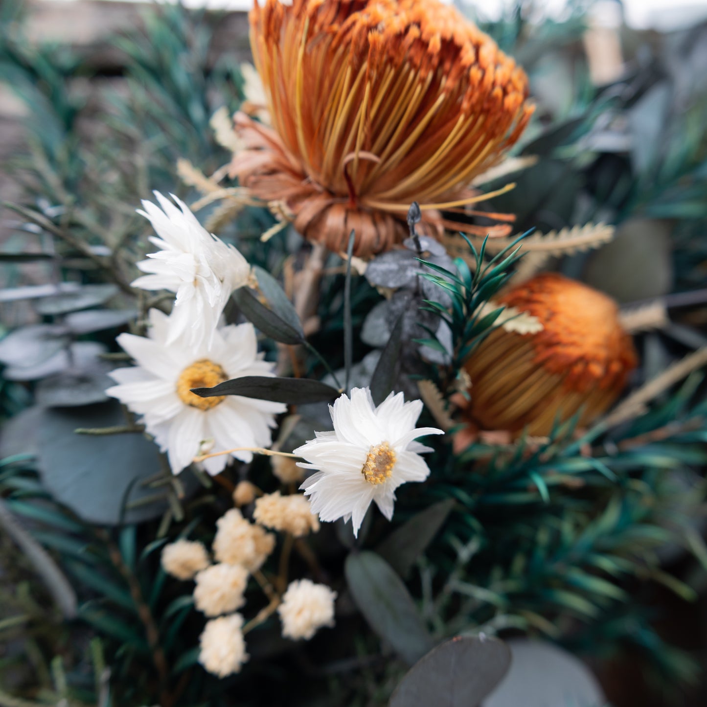 Australian Dried Christmas Wreath – Eucalyptus, Banksia & Cotton