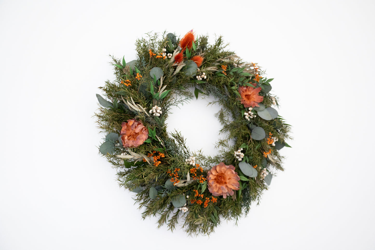 Australian Native Christmas Wreath – Eucalyptus & Protea