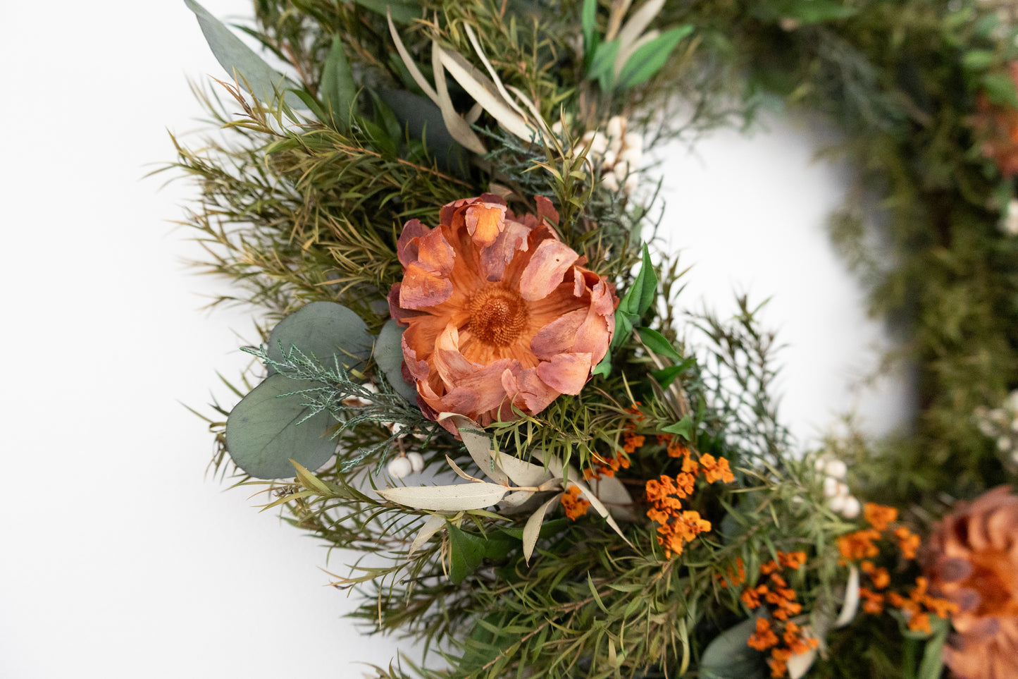 Australian Native Christmas Wreath – Eucalyptus & Protea
