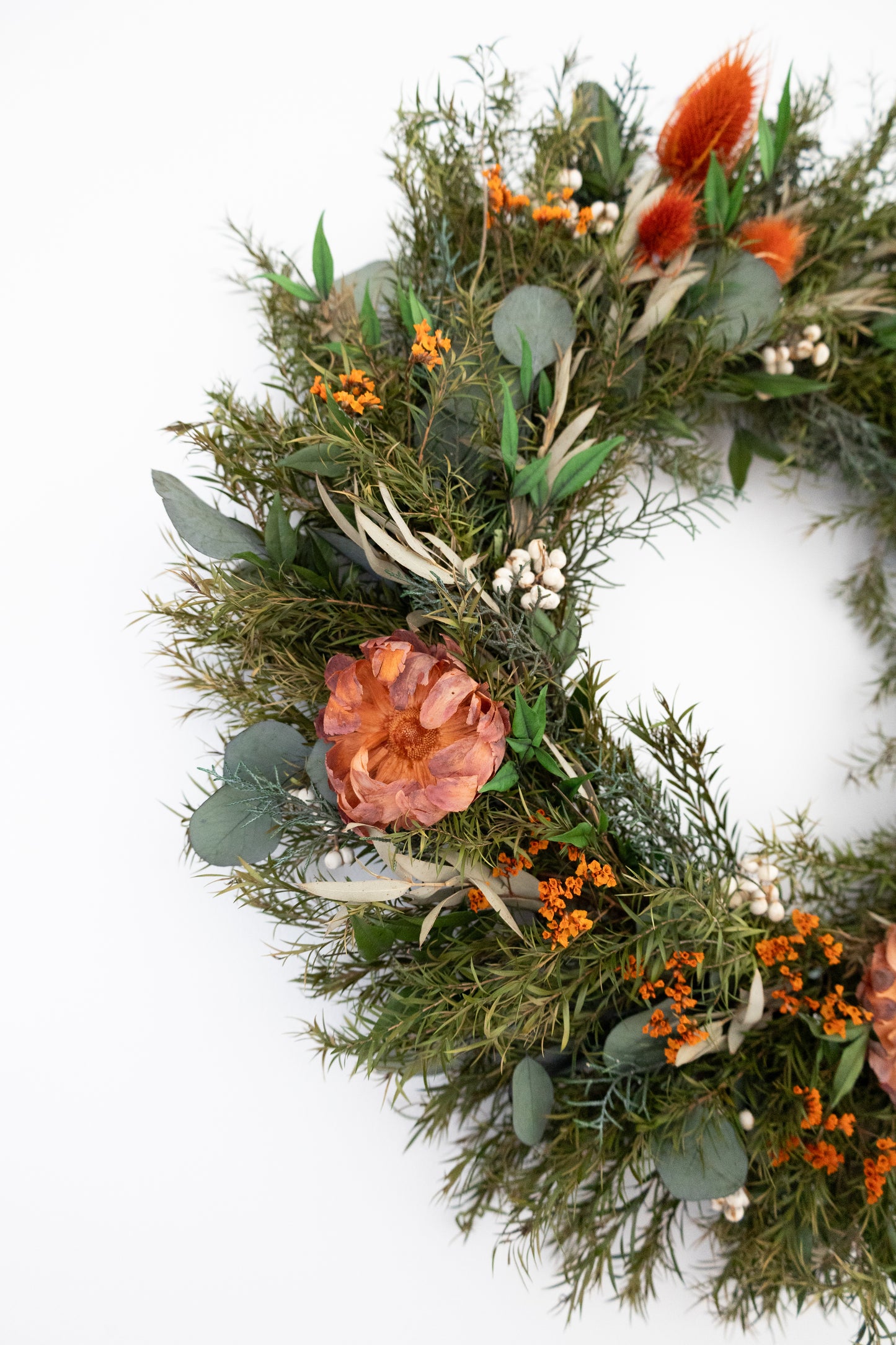 Australian Native Christmas Wreath – Eucalyptus & Protea